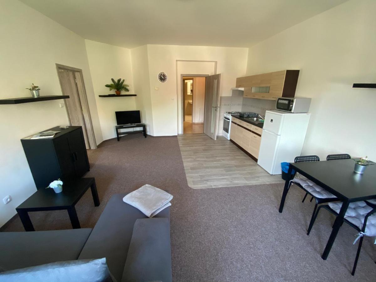 Apartmany U Muzea Ντέτσιν Εξωτερικό φωτογραφία
